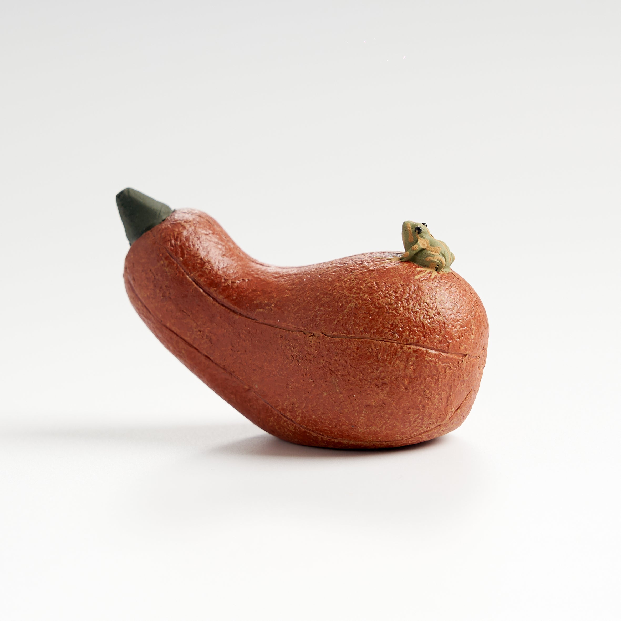 Handmade frog tea pet on a long pumpkin, front eye-level view