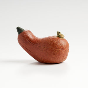 Handmade frog tea pet on a long pumpkin, front eye-level view