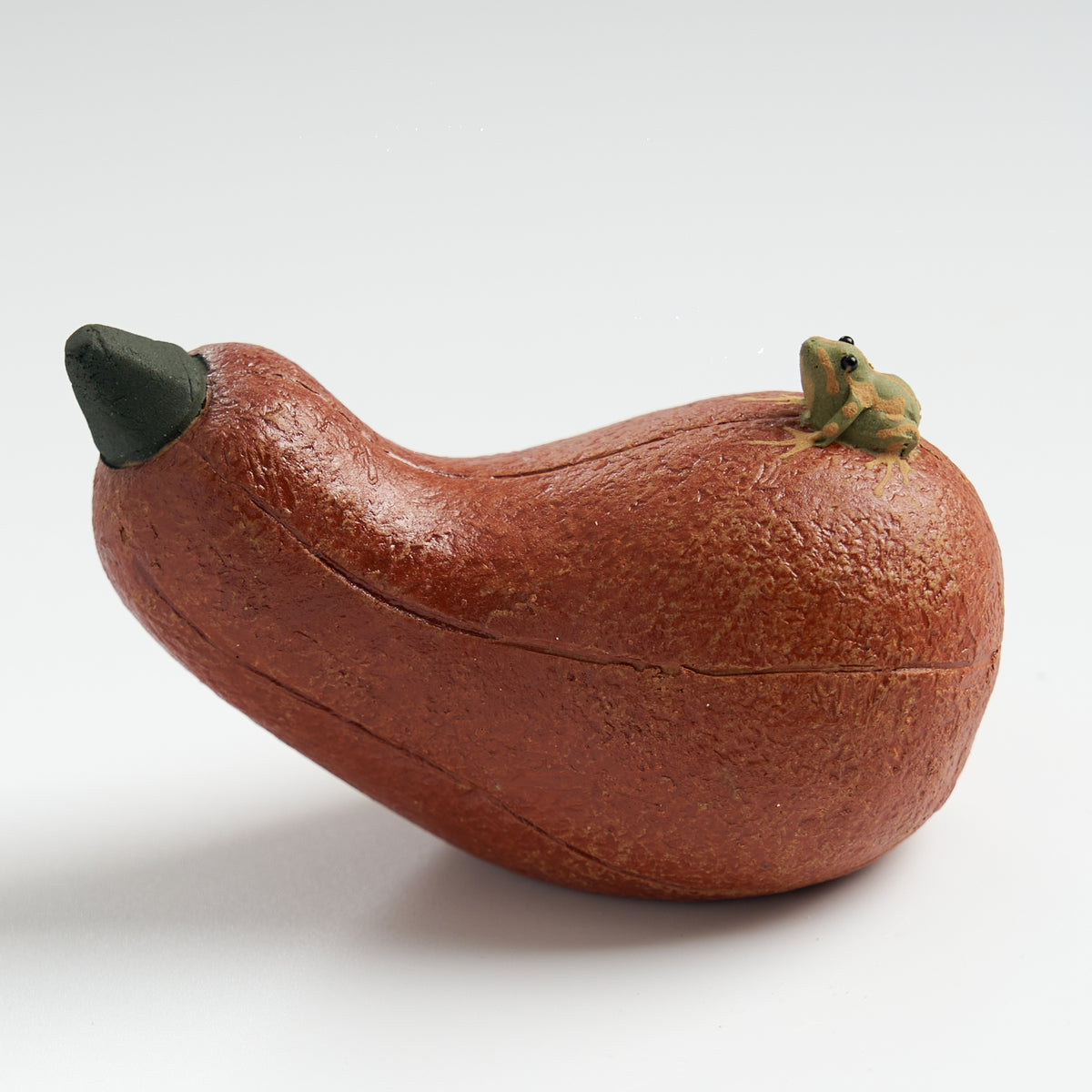 Handmade frog tea pet on a long pumpkin, three-quarter view