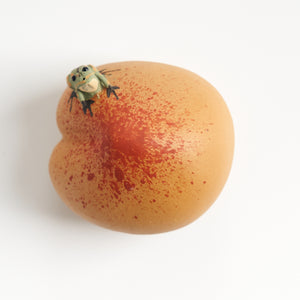 Handmade frog tea pet on a peach, top-down view