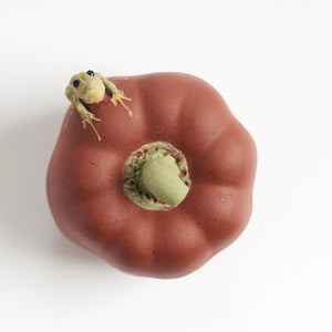 Handmade frog tea pet on a round red bell pepper, top-down view