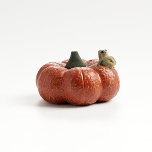 Handmade frog tea pet on a short pumpkin, front eye-level view