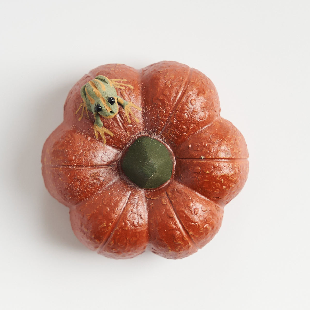 Handmade frog tea pet on a short pumpkin, top-down view